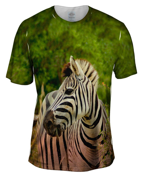 Zebra Africa Mens T-Shirt
