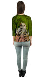 Zebra Africa