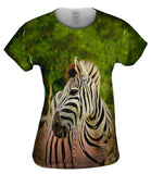Zebra Africa