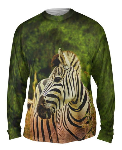 Zebra Africa