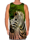Zebra Africa
