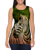 Zebra Africa