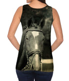 Paso Fino Stare