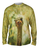 Lone Ostrich