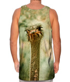 Lone Ostrich