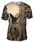 Mustache Kangaroo