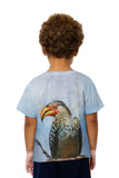 Kids Yellow Billed Hornbill