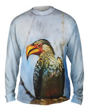 Yellow Billed Hornbill