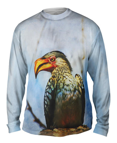 Yellow Billed Hornbill