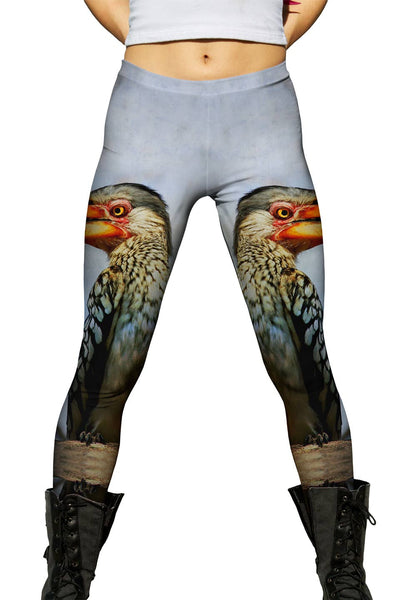 Yellow Billed Hornbill Womens Leggings