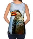 Yellow Billed Hornbill