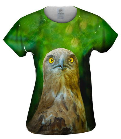 Yellow Eye Hawk