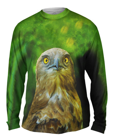 Yellow Eye Hawk