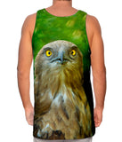 Yellow Eye Hawk