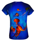 Jellyfish Fun