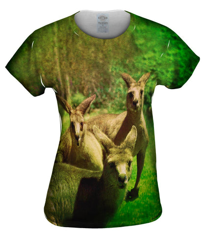 Lost Kangaroo