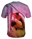 Eating Tree Kangaroo