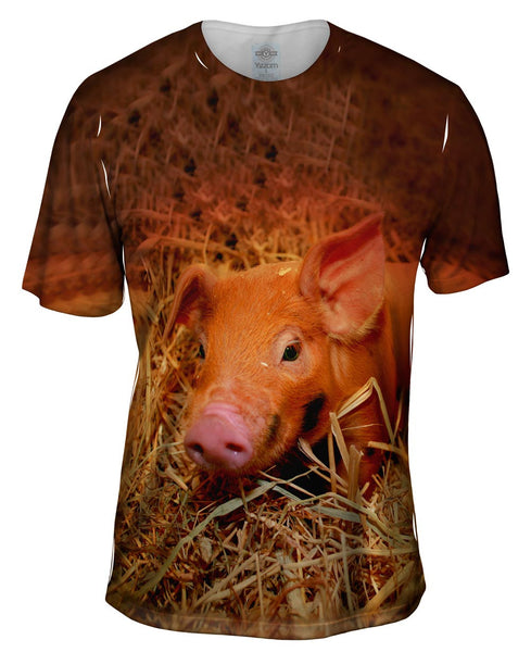 Ginger Baby Pig Mens T-Shirt