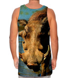 Warthog Stare