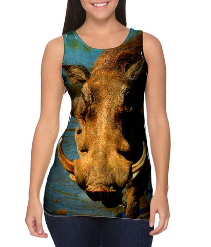Warthog Stare
