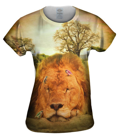 Sleeping Lion And Birds