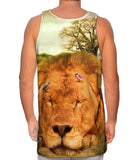 Sleeping Lion And Birds