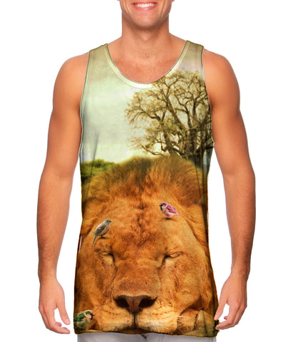 Sleeping Lion And Birds