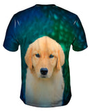 Golden Retriever Cute Puppy
