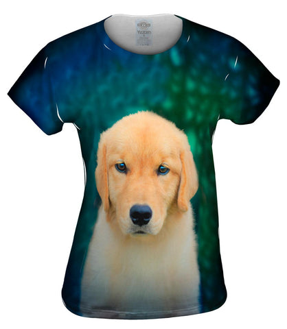 Golden Retriever Cute Puppy