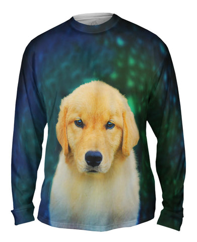 Golden Retriever Cute Puppy
