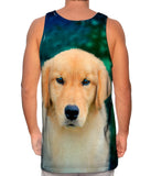 Golden Retriever Cute Puppy