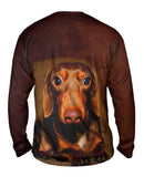 Dachshund Cuteness