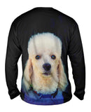 Poodle Invasion