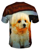 Maltese Table Puppy
