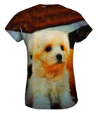 Maltese Table Puppy