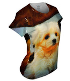 Maltese Table Puppy