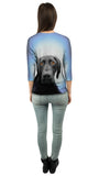 German Shorthaired Pointer Dog
