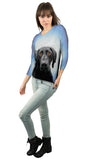 German Shorthaired Pointer Dog