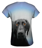 German Shorthaired Pointer Dog