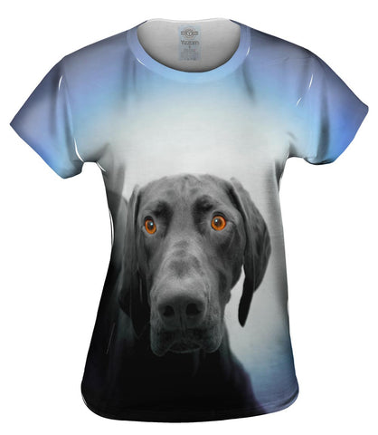 German Shorthaired Pointer Dog