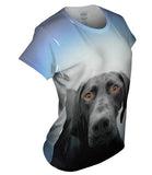 German Shorthaired Pointer Dog