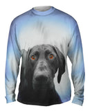 German Shorthaired Pointer Dog