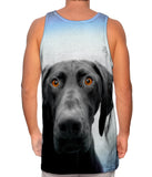 German Shorthaired Pointer Dog