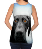 German Shorthaired Pointer Dog