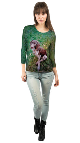German Shorthaired Pointer Look