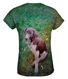 German Shorthaired Pointer Look