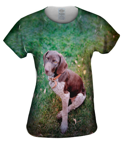 German Shorthaired Pointer Look