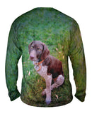 German Shorthaired Pointer Look