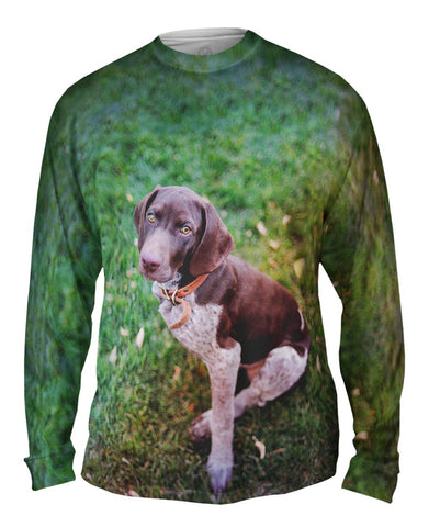 German Shorthaired Pointer Look