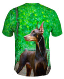 Doberman Pinscher Perfection